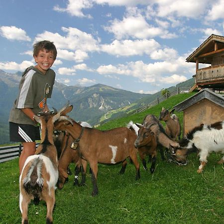 Pension Sonneck Neukirchen am Großvenediger Dış mekan fotoğraf